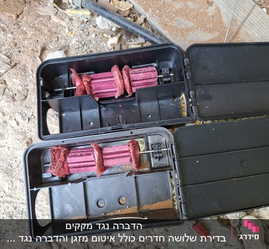 תחנת פיתיון עם רעל ורוד על הקרקע
